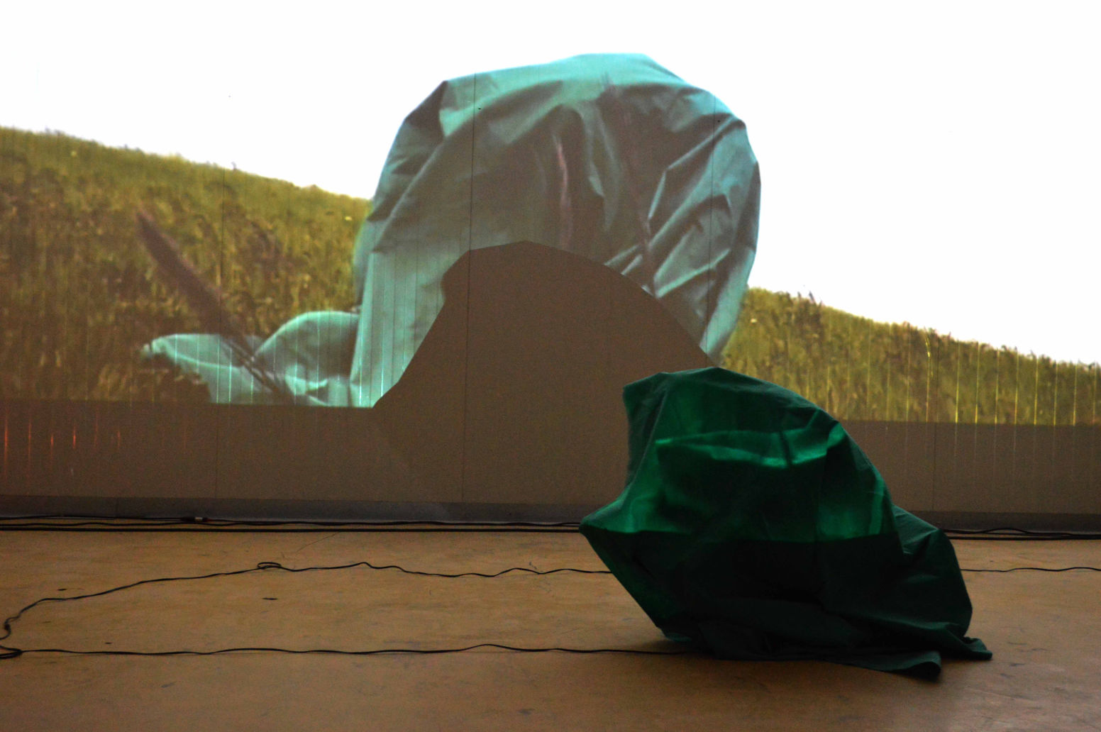 Resguardo y Presencia (Shelter and Presence), since 2012 Performance, Video, Photography, Installation