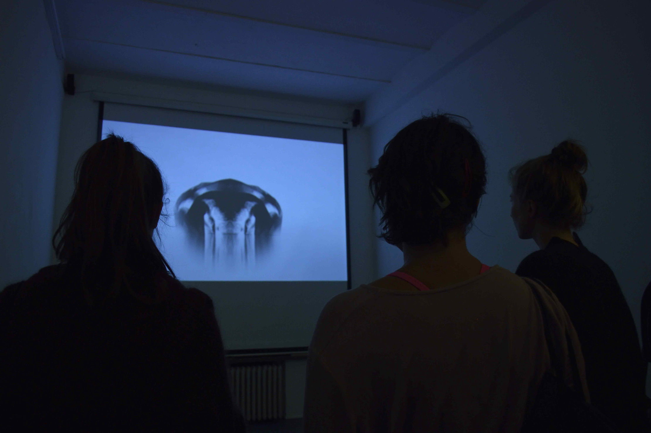 Impuls, video art by Arnaldo Drés González- Level One, Hamburg, Germany, 2016